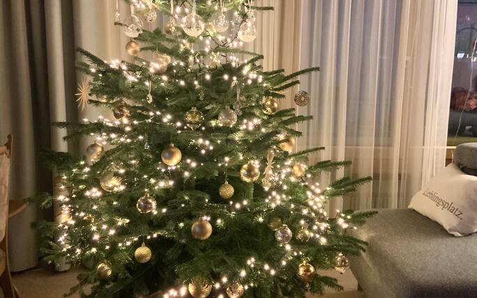 Fotowettbewerb: Zeig uns Deinen Christbaum 2023