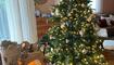 Champagner Christbaum im Orient