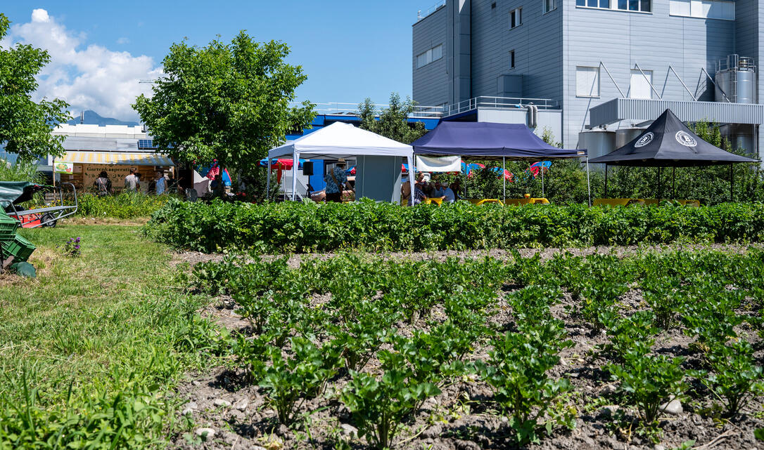 Jubiläumsfest 10-Jahre-Gartenkooperative, in Schaan