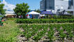 Jubiläumsfest 10-Jahre-Gartenkooperative, in Schaan