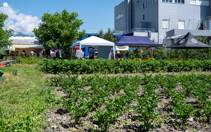 Jubiläumsfest 10-Jahre-Gartenkooperative, in Schaan