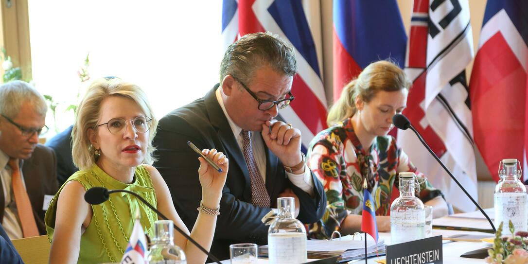 EFTA-Treffen EFTA-Treffen