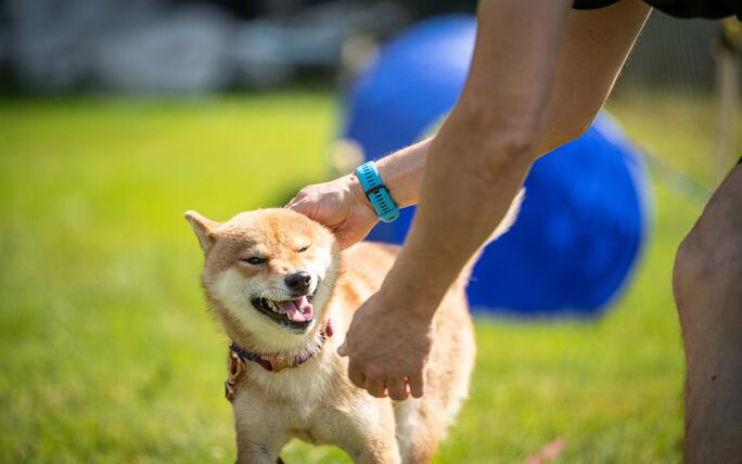 Hundeplausch Balzers (20.06.2026)
