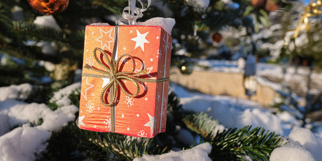 Christbaum mit Geschenk im Park