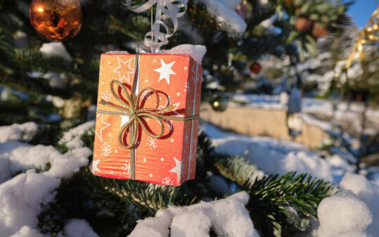 Christbaum mit Geschenk im Park