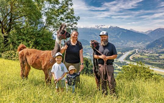 Lama und Alpakahof in Triesenberg