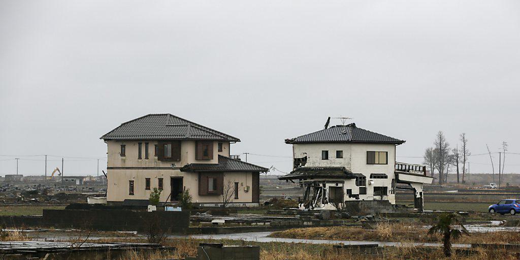 Bären, Wildschweine und Marderhunde vermehren sich rasend schnell in den evakuierten Gebieten um das havarierte Atomkraftwerk Fukushima, das 2011 von einem Tsunami getroffen wurde. (Archivbild)