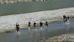 LieMudRun 2025