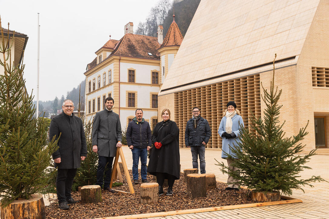 Vaduzer Weihnachts-Städtle