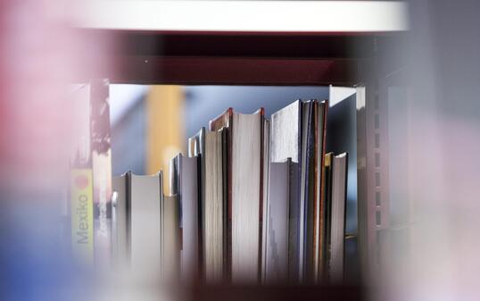 Bücher Symbolbild