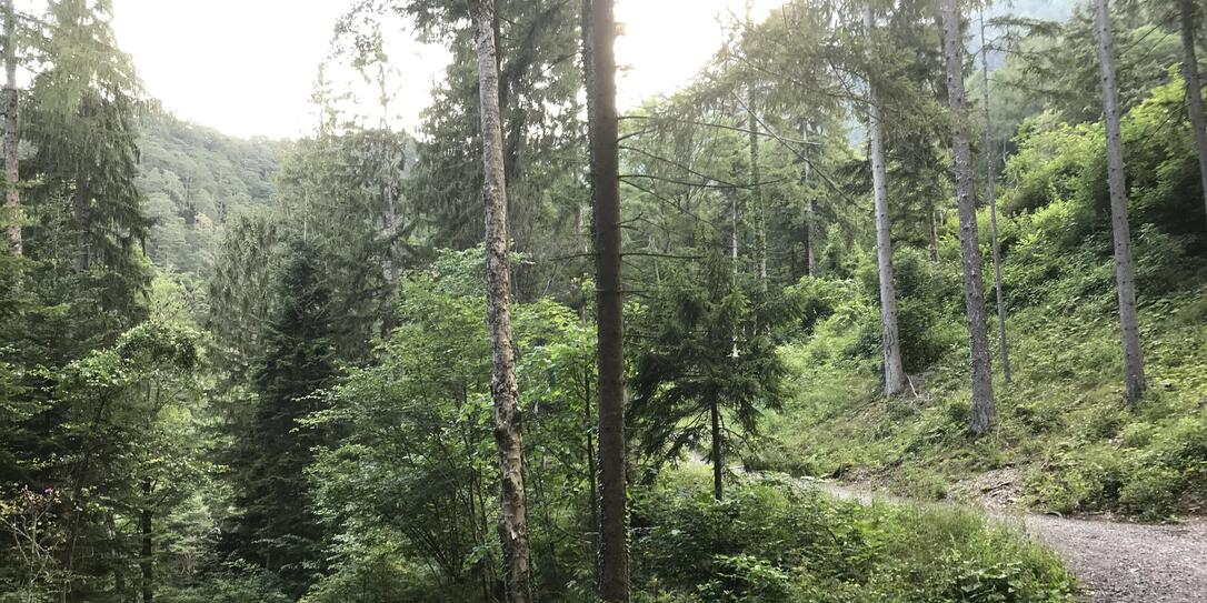 Liechtenstein-Weg: 3. Etappe Triesenberg-Vaduz