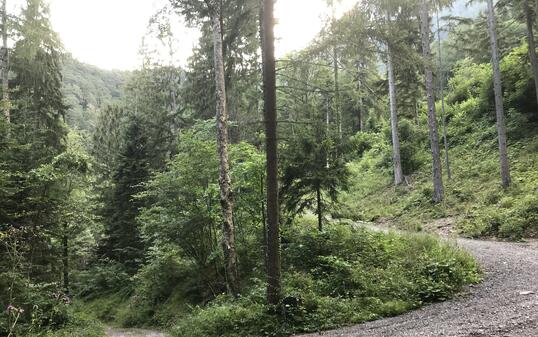 Liechtenstein-Weg: 3. Etappe Triesenberg-Vaduz