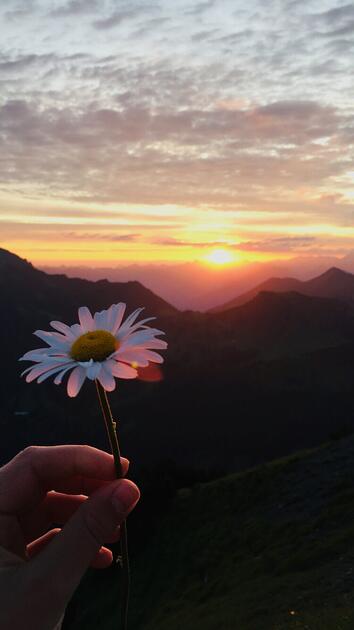 Sonnenaufgang Schönberg