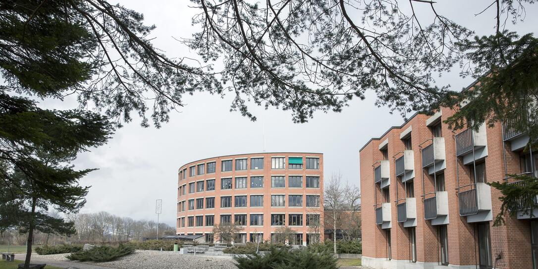 Gymnasium Vaduz Provisorium Schule 150225