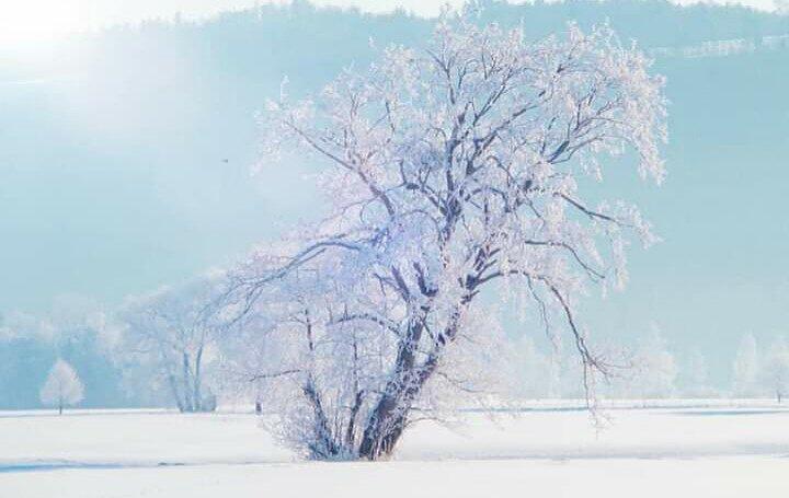 Fotowettbewerb: «Zemma» durch die «Winterruhe»