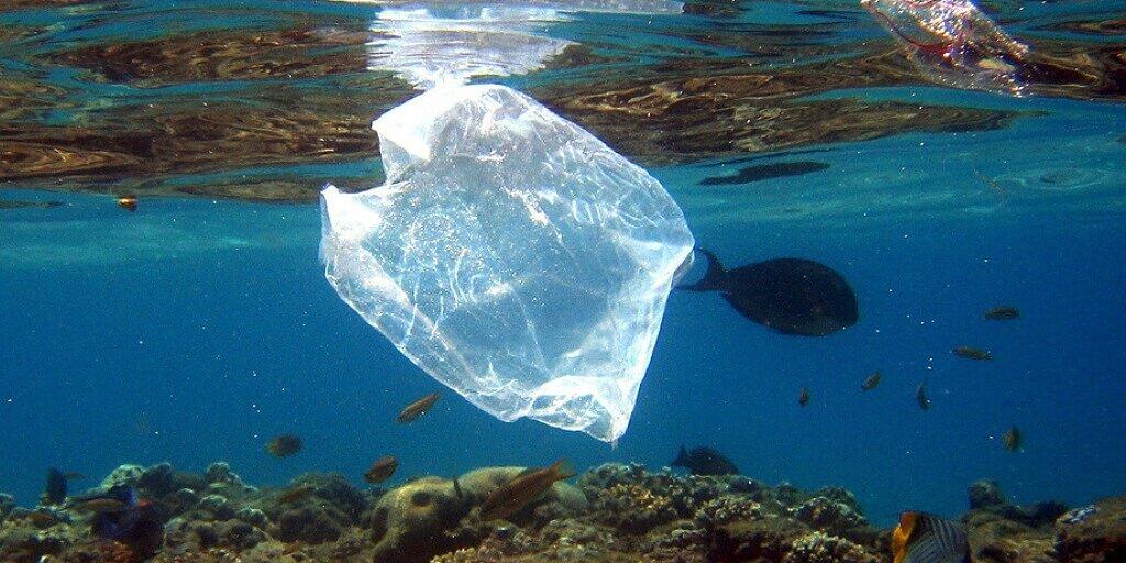 Obwohl Japan den zweitgrössten Plastikverbrauch weltweit hat nach den USA, hat das Land erst (gestern) am 1. Juli 2020 die Gratisabgabe von Plastik-Einkaufssäckchen verboten. Die Tüten sind so gut wie nicht abbaubar. (Archivbild)