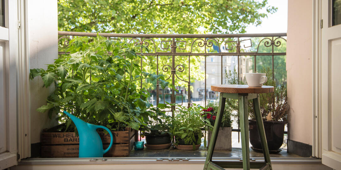Urban Gardening