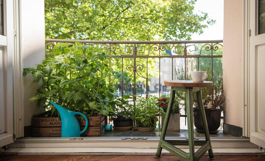 Urban Gardening
