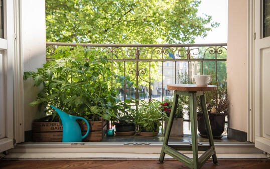 Urban Gardening