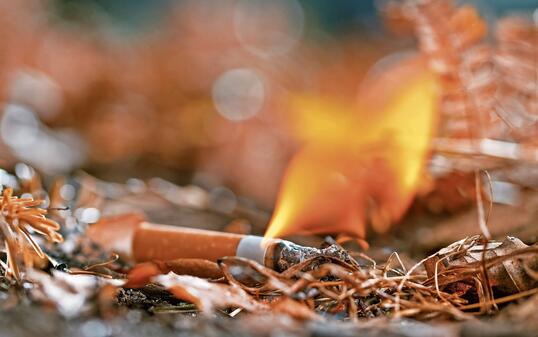 Burning cigarette butt on ground