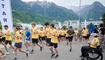 Wings for Life World Run (10.05.2026)