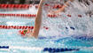 Landesmeisterschaft Schwimmen 2025