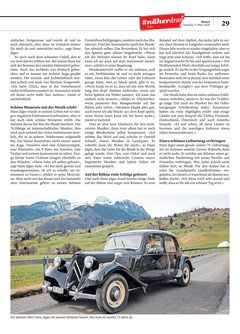 Seite 029 Seite 029
