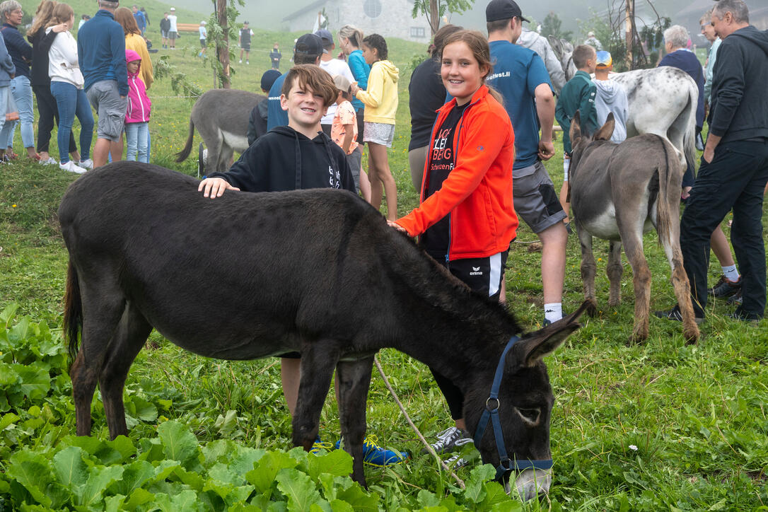 Eselfest in Malbun