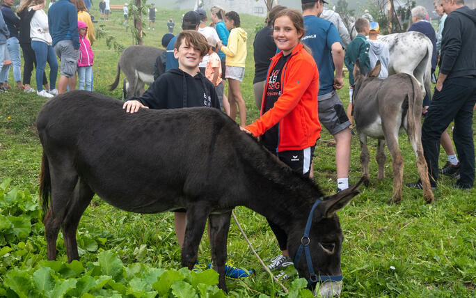 Eselfest in Malbun