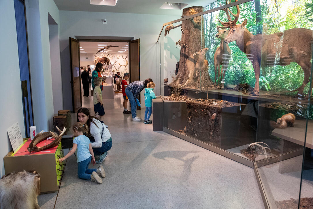 Reiseziel Museum (03.08.2025)