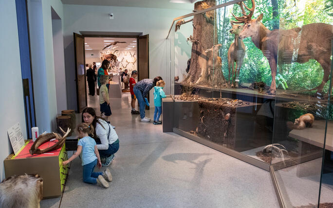 Reiseziel Museum (03.08.2025)