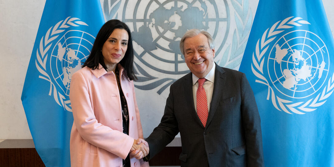 Secretary-General Meets Minister for Foreign Affairs of Liechtenstein