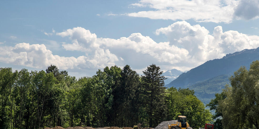 Rheindeponie, Eschen