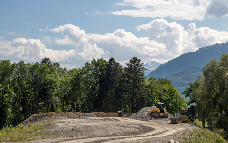 Rheindeponie, Eschen