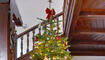 Christbaum 2019