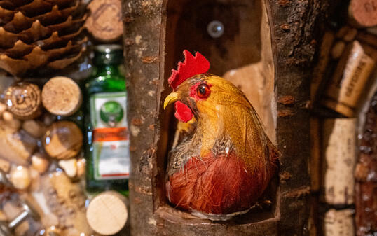 Besuch bei Elwin und Luis Hasler &uuml;ber J&auml;germeister-Kunst, Bendern