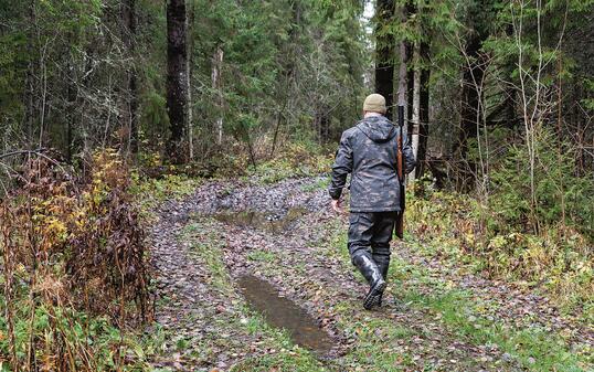 A hunter with a hunting gun