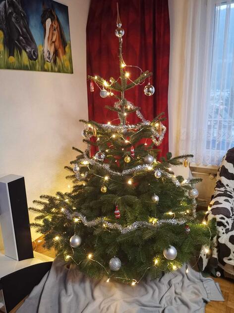 Fotowettbewerb: Zeig uns Deinen Christbaum 2022