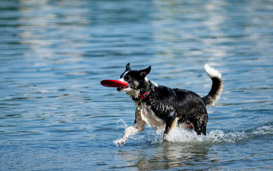 Wetter in Baden-Württemberg