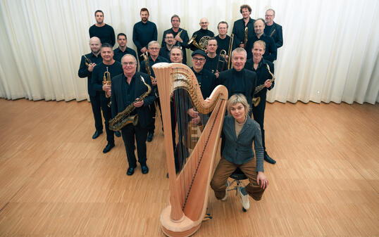 Daniel Schuchter (2. v. l., hintere Reihe) spielt erstmals beim Bodan Art Orchestra mit.