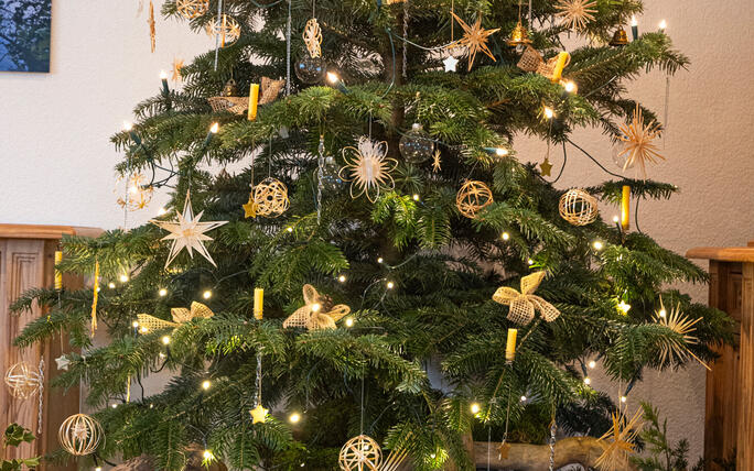 Fotowettbewerb: Zeig uns Deinen Christbaum 2023