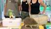 Buchser Samstig Zu Tisch, Schachverein Buchs,