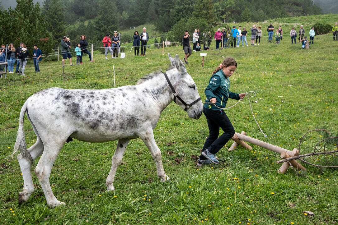 Eselfest in Malbun