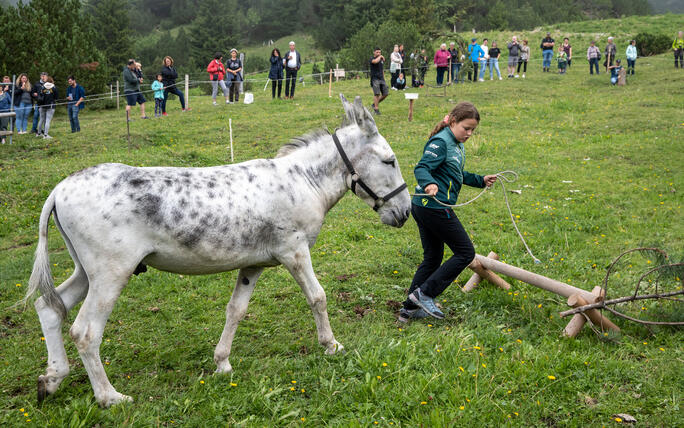 Eselfest in Malbun