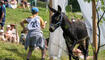 Eselfest in Malbun