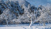231203 Winter Impressionen in Balzers, Triesen, Triesenberg - Schnee, Burg Gutenberg, See, Triesenberg, UFL