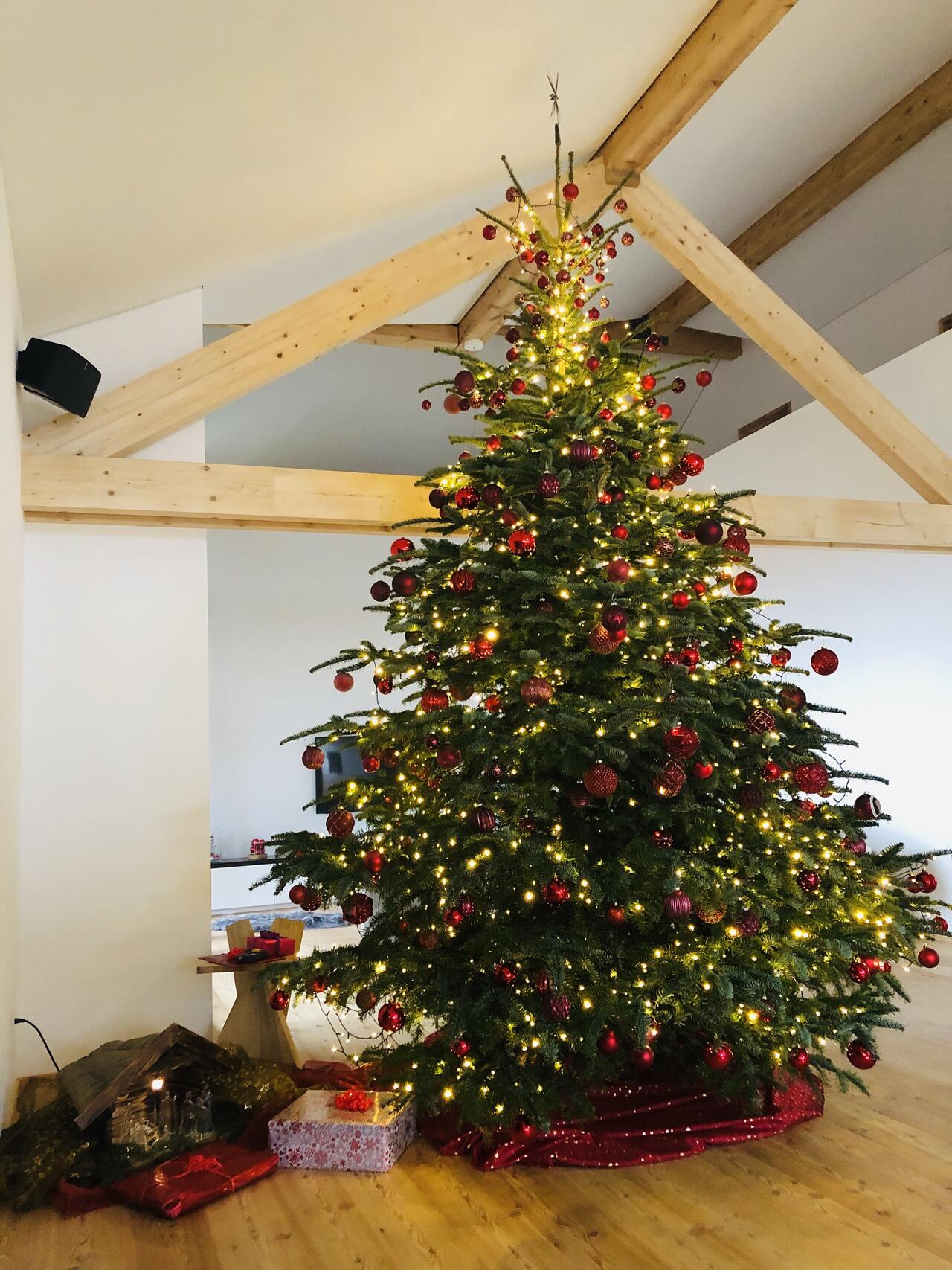 Wettbewerb: Wer hat den schönsten Christbaum 2019? - Vaterland online