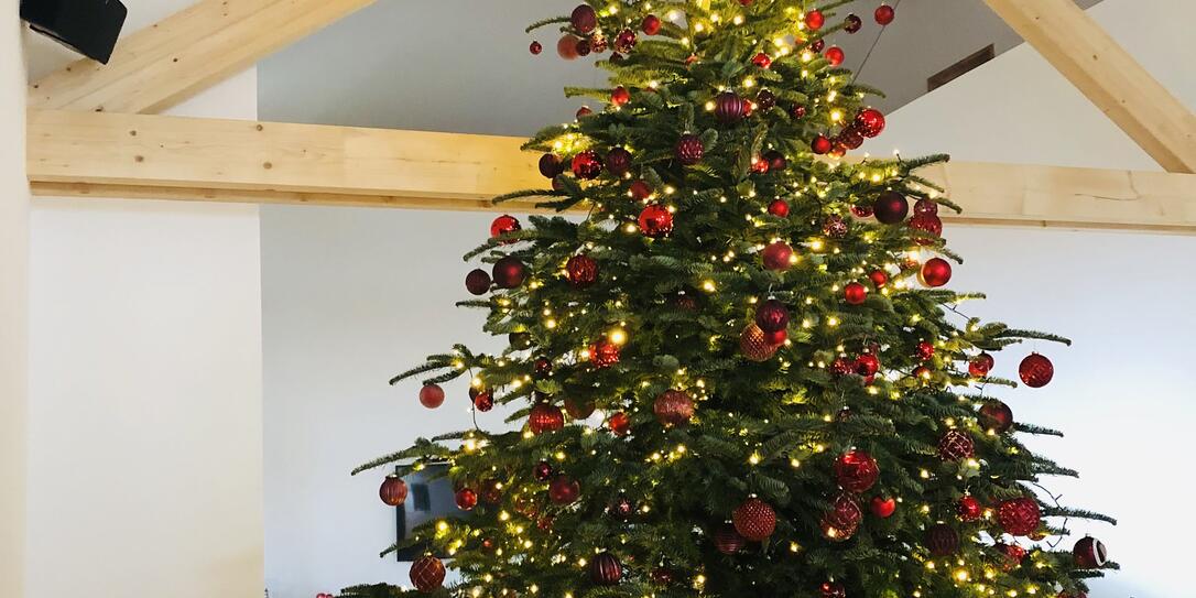 Der Baum von Livia Beck aus Triesenberg, schaffte es beim Wettbewerb 2018 auf den dritten Platz. Der Baum von Livia Beck aus Triesenberg, schaffte es beim Wettbewerb 2018 auf den dritten Platz.