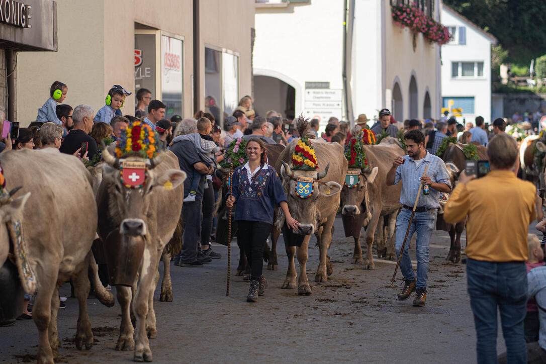 Alpabfahrt in Mels