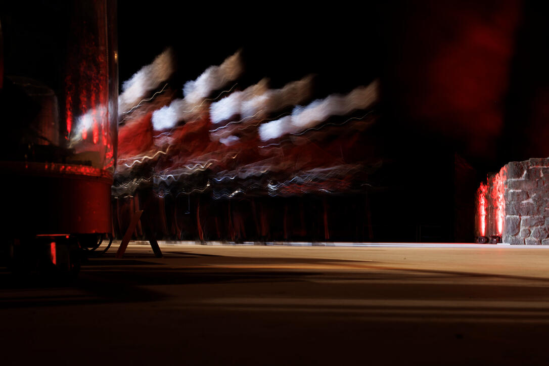 The Princely Liechtenstein Tattoo in Schellenberg